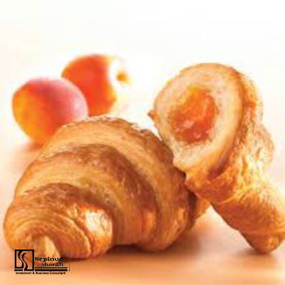 Technical, Financial Feasibility Study of Establishing Production Unit of Croissants and chewing gum